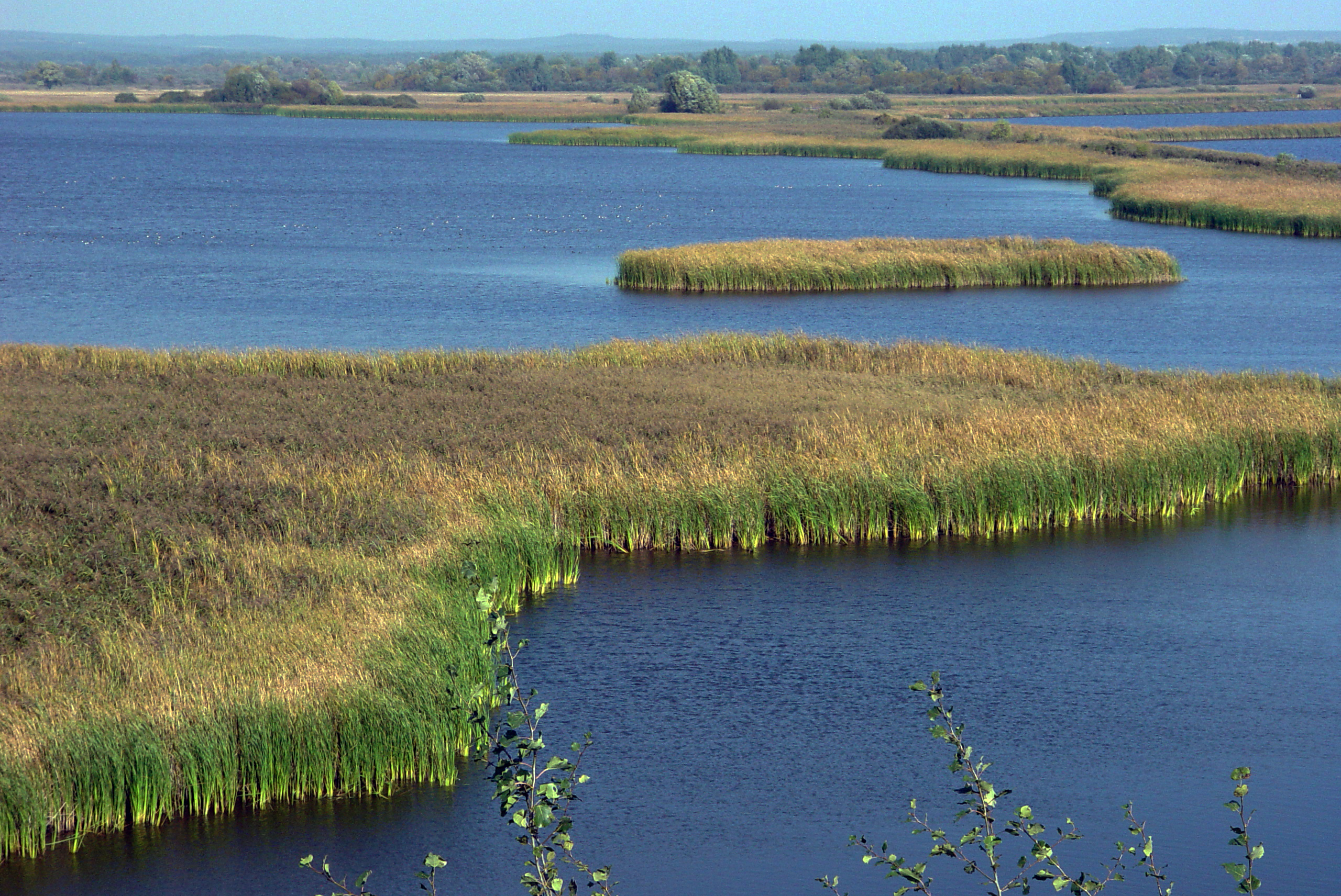 ponds